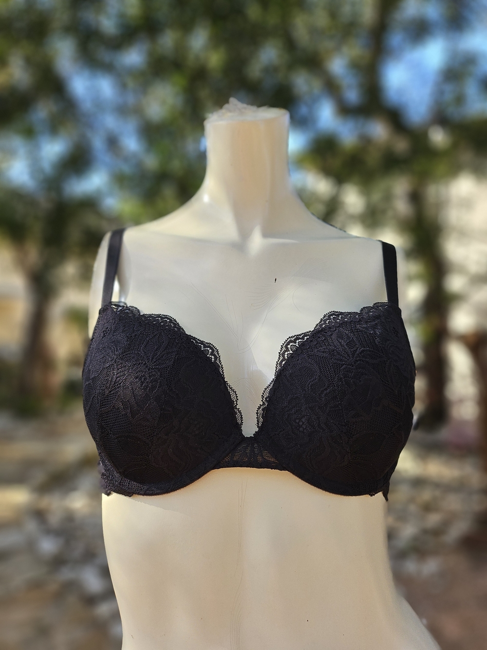 New W Tag Women’s Dobreva 36A Lace Plunge Bra – Black Lace